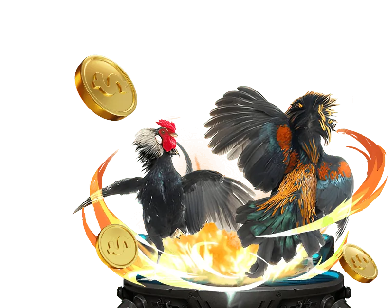 Tổng quan đá gà Kingfun Casino